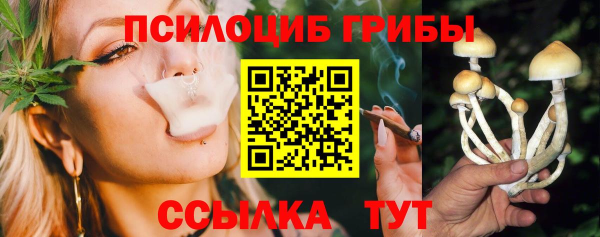 Гусев  Псилоцибиновые грибы прущие грибы  Вход с VPN 